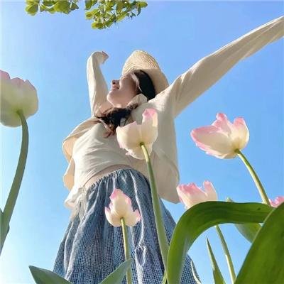 归来之海晏河清